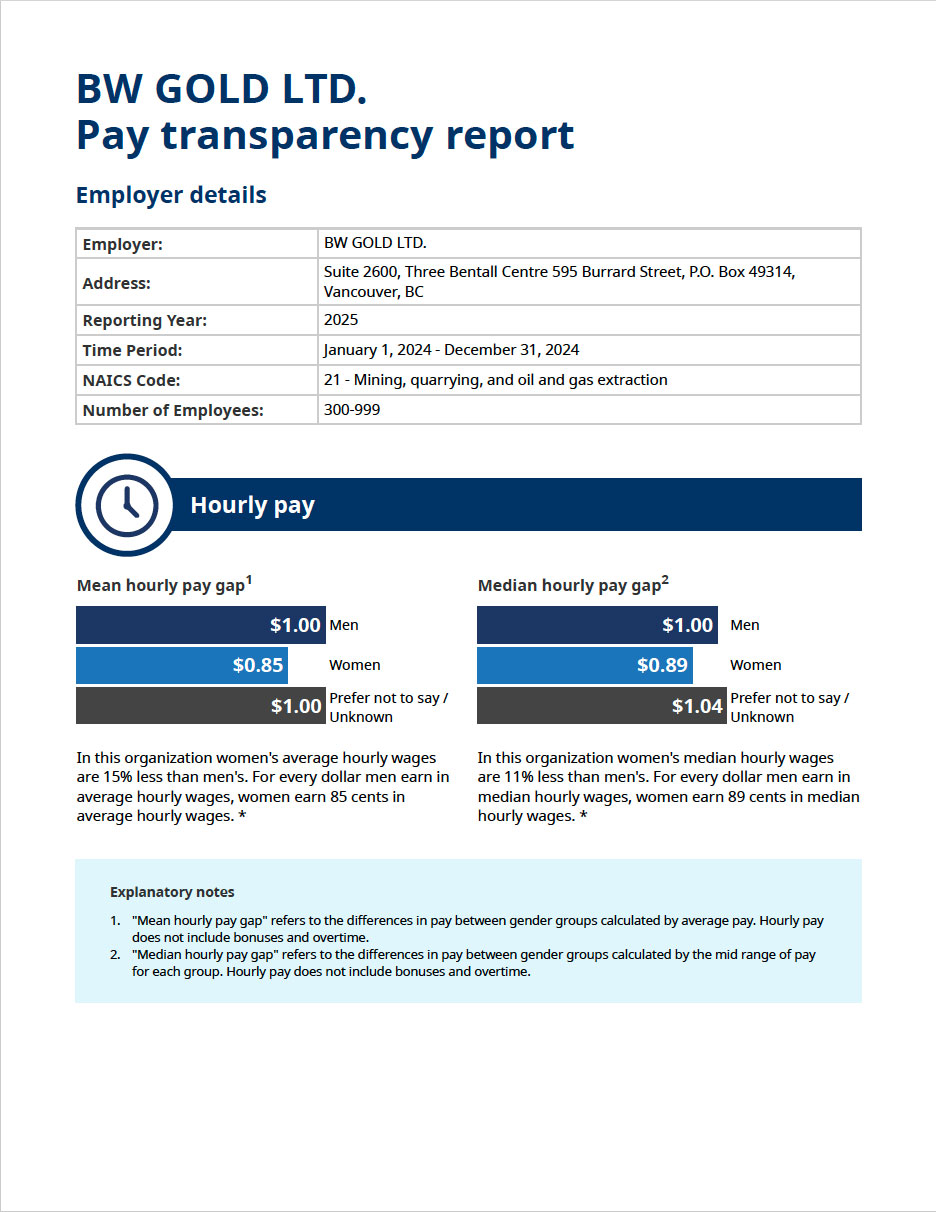 Pay Transparency Report